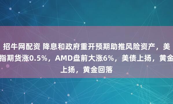 招牛网配资 降息和政府重开预期助推风险资产，美股纳指期货涨0.5%，AMD盘前大涨6%，美债上扬，黄金回落